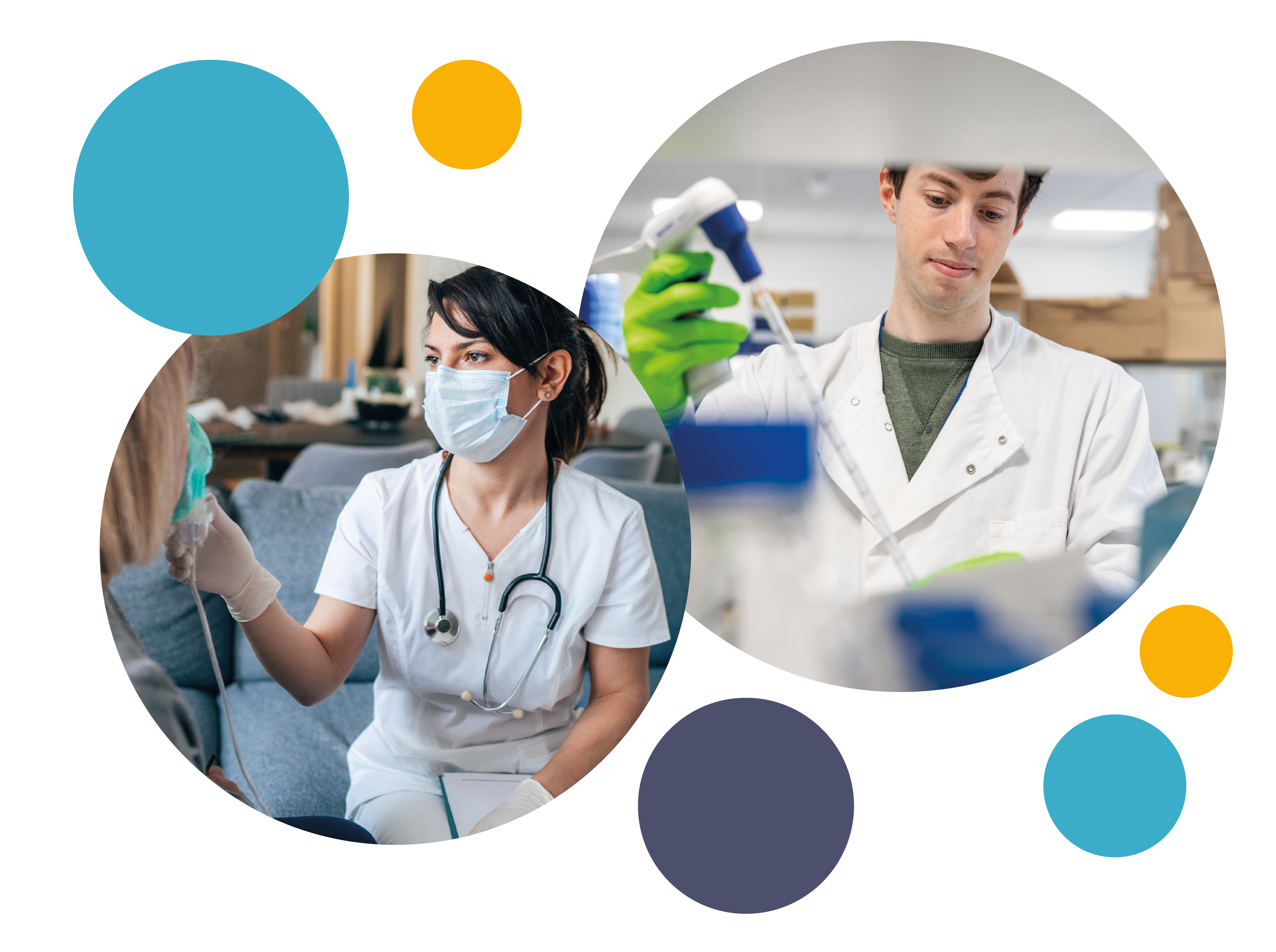 researcher and health professional